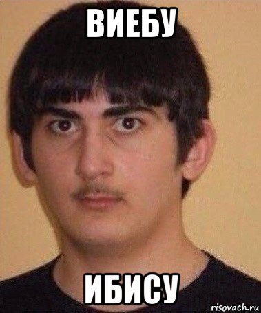 виебу ибису