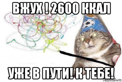 вжух ! 2600 ккал уже в пути! к тебе!, Мем Вжух мем