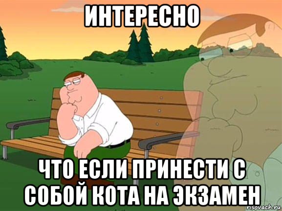 интересно что если принести с собой кота на экзамен, Мем Задумчивый Гриффин