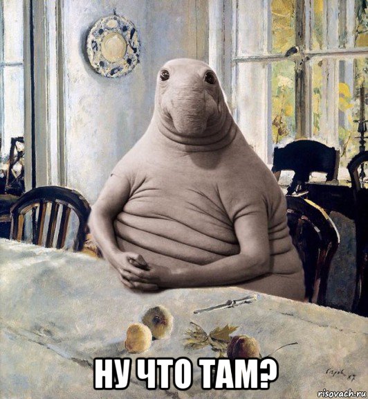  ну что там?