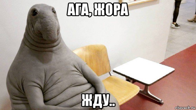 ага, жора жду..