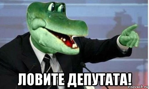  ловите депутата!