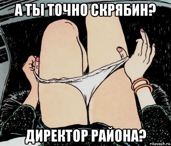 а ты точно скрябин? директор района?, Мем А ты точно