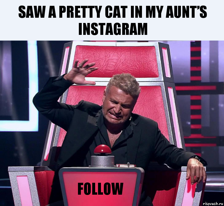 Saw a pretty cat in my aunt’s instagram Follow, Комикс  Агутин