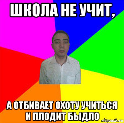 школа не учит, а отбивает охоту учиться и плодит быдло