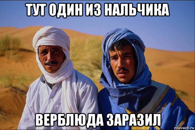 тут один из нальчика верблюда заразил