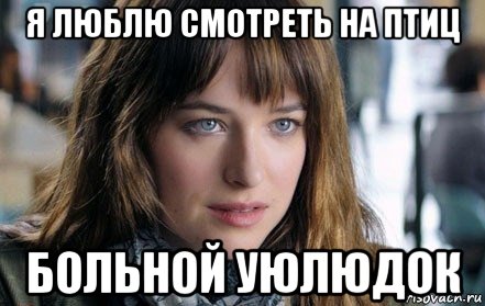 я люблю смотреть на птиц больной уюлюдок