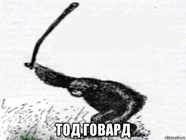  тод говард