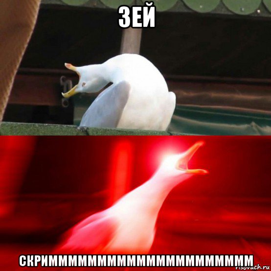 зей скриммммммммммммммммммммм