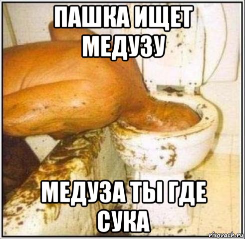 пашка ищет медузу медуза ты где сука, Мем Дайвер