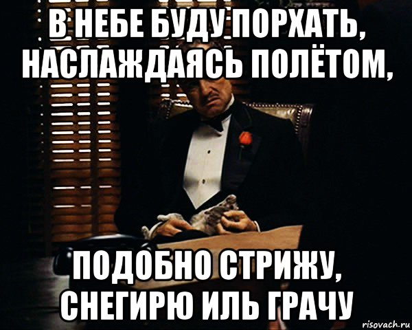 в небе буду порхать, наслаждаясь полётом, подобно стрижу, снегирю иль грачу, Мем Дон Вито Корлеоне