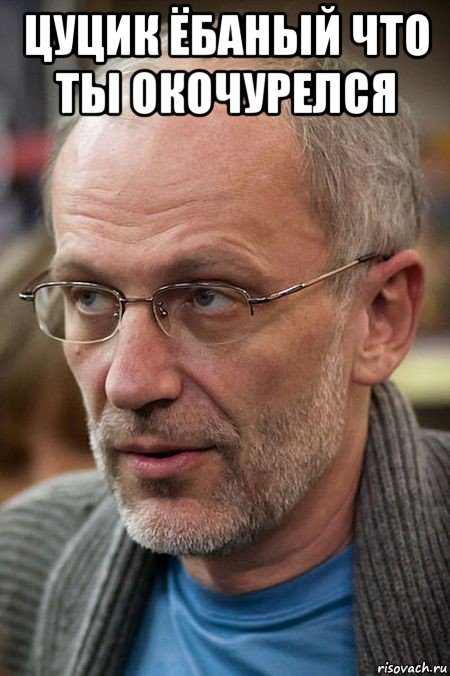 цуцик ёбаный что ты окочурелся , Мем Елда