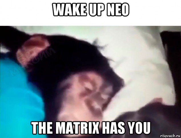 wake up neo the matrix has you, Мем Ержан