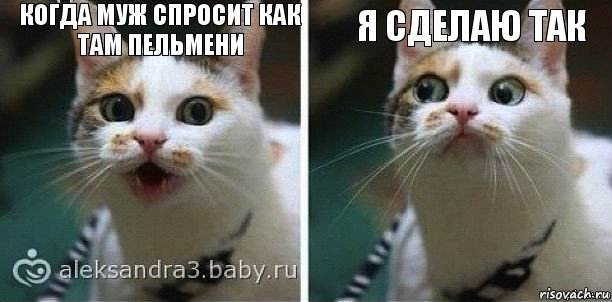 Когда муж спросит как там пельмени Я сделаю так