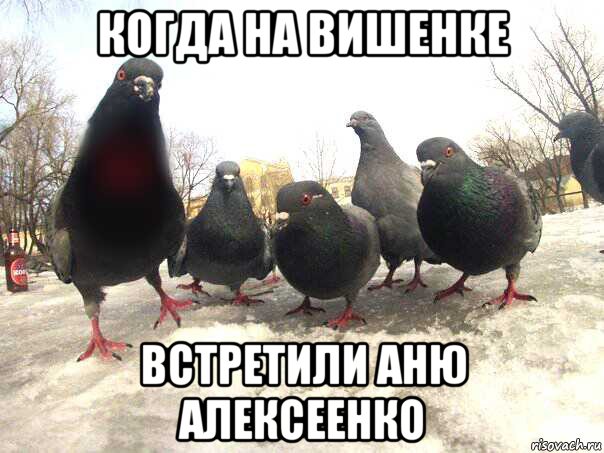 когда на вишенке встретили аню алексеенко