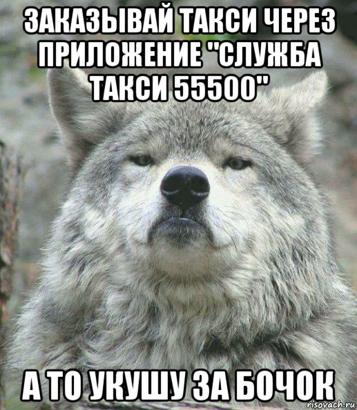 заказывай такси через приложение "служба такси 55500" а то укушу за бочок, Мем    Гордый волк