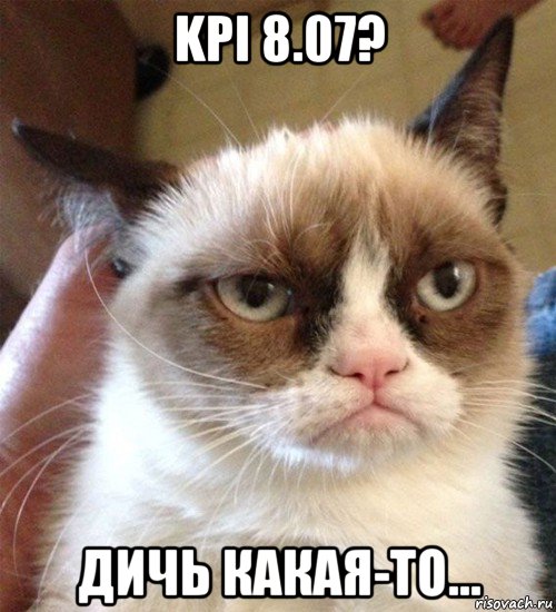 kpi 8.07? дичь какая-то..., Мем Грустный (сварливый) кот