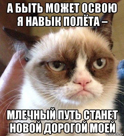 а быть может освою я навык полёта – млечный путь станет новой дорогой моей, Мем Грустный (сварливый) кот