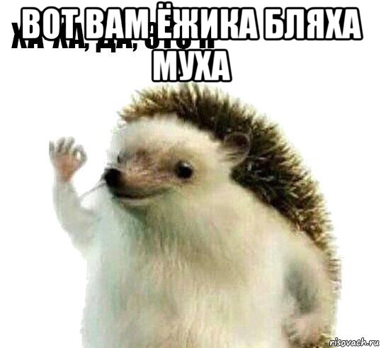 вот вам ёжика бляха муха , Мем Ха-ха да это я