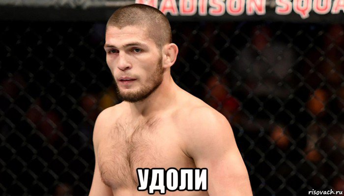  удоли, Мем Хабиб Нурмагомедов