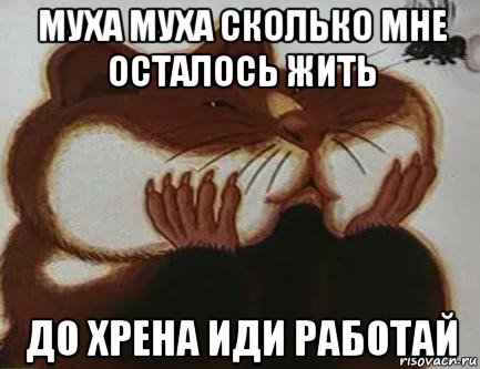 муха муха сколько мне осталось жить до хрена иди работай, Мем Хома-молчун