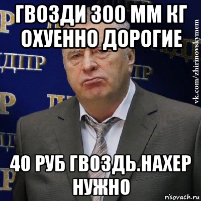 гвозди 300 мм кг охуенно дорогие 40 руб гвоздь.нахер нужно, Мем Хватит это терпеть (Жириновский)