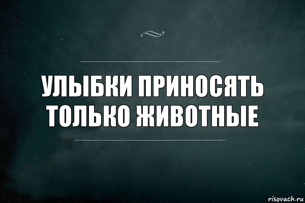 Улыбки приносять только животные, Комикс Игра Слов