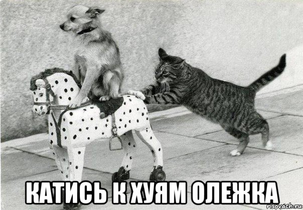  катись к хуям олежка