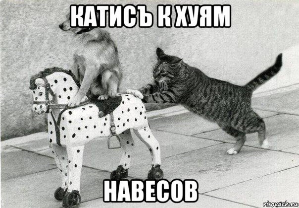 катисъ к хуям навесов