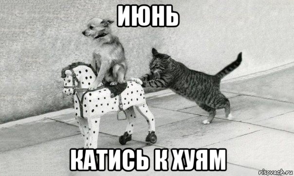 июнь катись к хуям, Мем Катись к хуям
