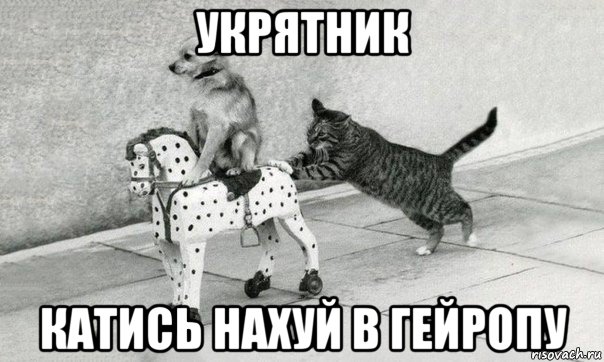укрятник катись нахуй в гейропу, Мем Катись к хуям