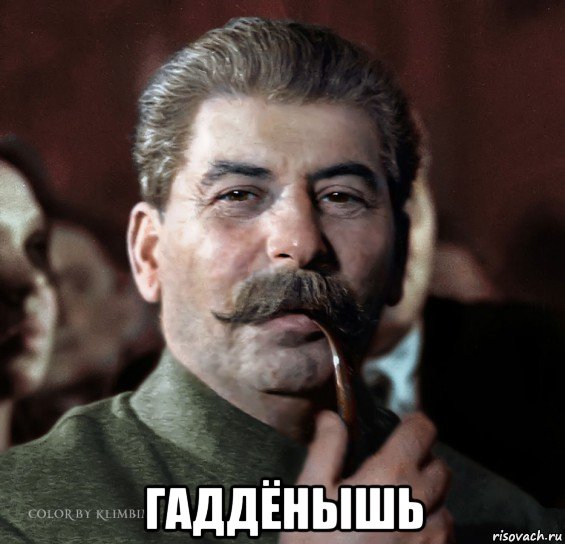  гаддёнышь