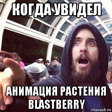 когда увидел анимация растения blastberry
