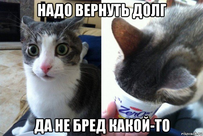 надо вернуть долг да не бред какой-то