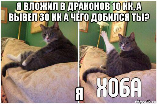 я вложил в драконов 10 кк, а вывел 30 кк а чего добился ты? я, Комикс Кот Хоба