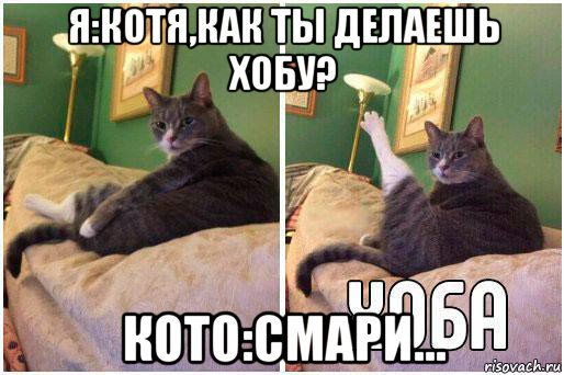 я:котя,как ты делаешь хобу? кото:смари...