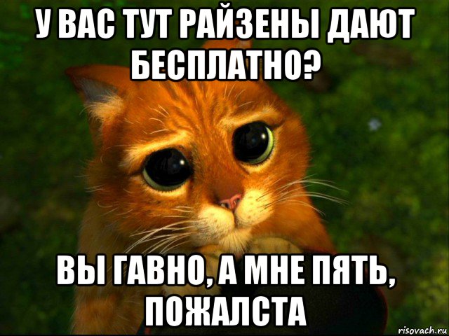 у вас тут райзены дают бесплатно? вы гавно, а мне пять, пожалста, Мем кот из шрека