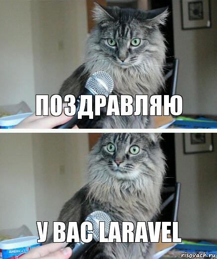 Поздравляю у вас Laravel, Комикс  кот с микрофоном