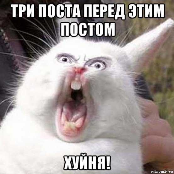 три поста перед этим постом хуйня!