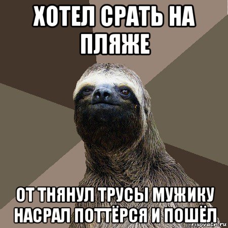 хотел срать на пляже от тнянул трусы мужику насрал поттёрся и пошёл, Мем Ленивец он ленивец