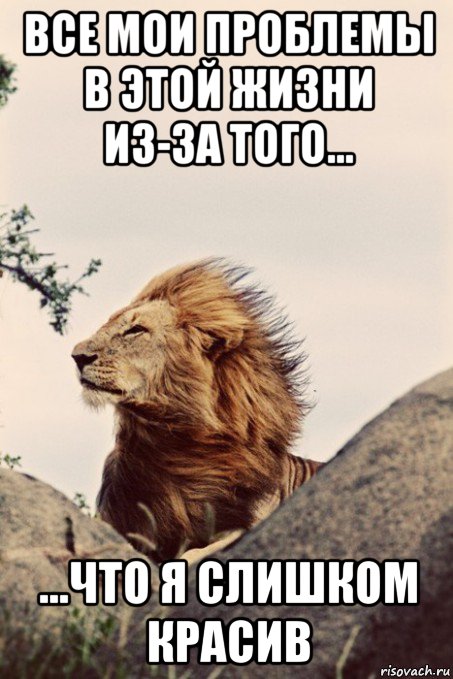 все мои проблемы в этой жизни из-за того... ...что я слишком красив