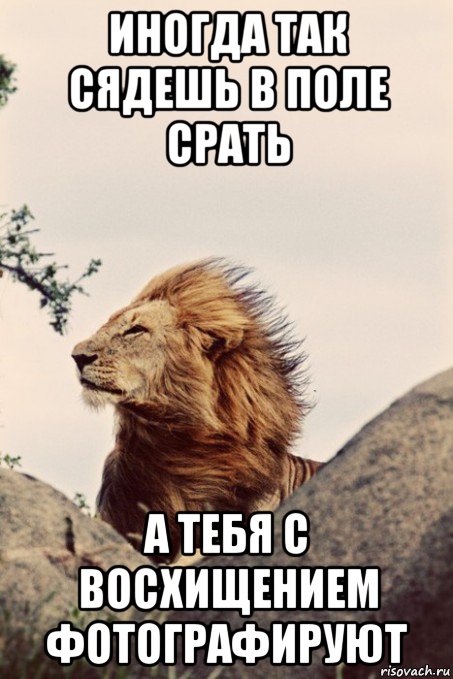 иногда так сядешь в поле срать а тебя с восхищением фотографируют
