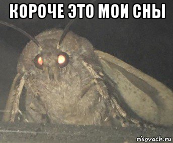 короче это мои сны , Мем Матылёк