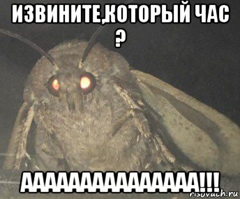 извините,который час ? ааааааааааааааа!!!, Мем Матылёк