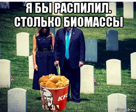 я бы распилил. столько биомассы 