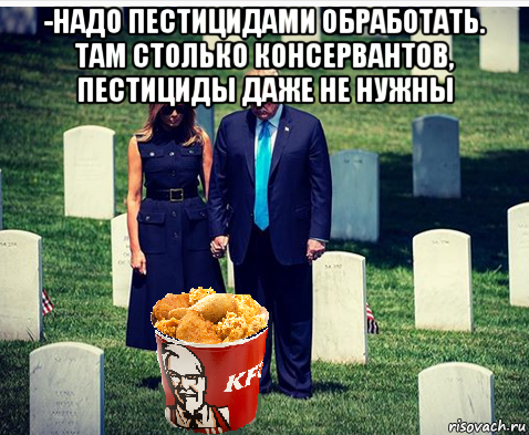 -надо пестицидами обработать. там столько консервантов, пестициды даже не нужны 
