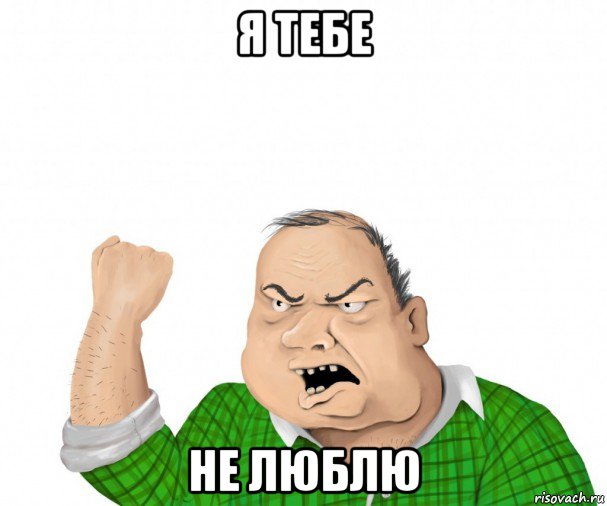 я тебе не люблю, Мем мужик