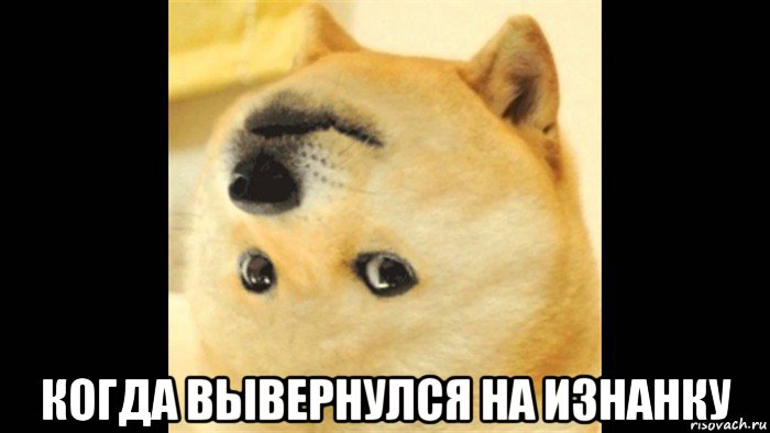  когда вывернулся на изнанку, Мем Неправильная доге