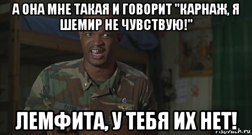 а она мне такая и говорит "карнаж, я шемир не чувствую!" лемфита, у тебя их нет!, Мем Ног не чувствую