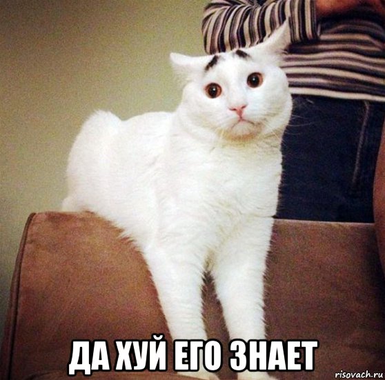  да хуй его знает
